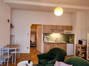 Cosy warm apartment in the heart of Prague. Prague